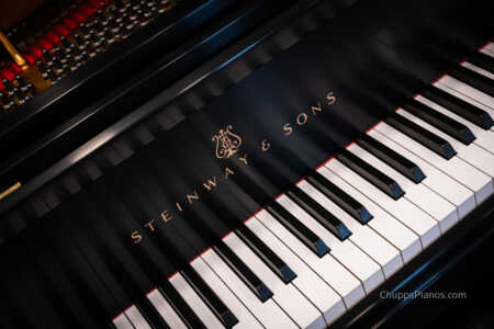 1995 Steinway Model D Grand Piano - Concert & Artist - CD409