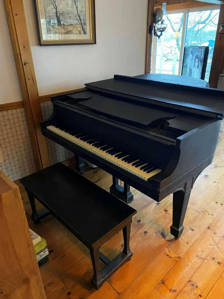 STEINWAY & SONS grand piano Model L
