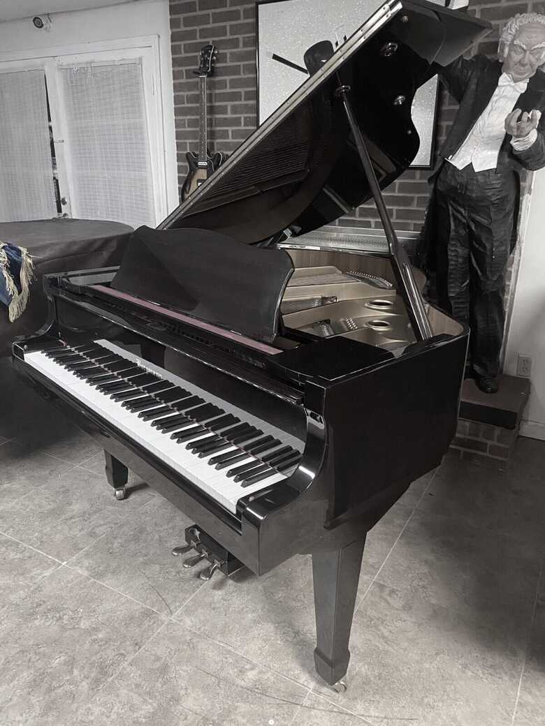 2003 immaculate baby grand piano