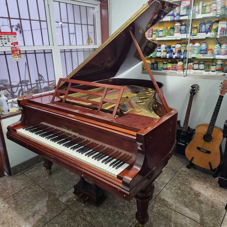 Extraordinary restored Bluthner grand piano Bluthner model 8