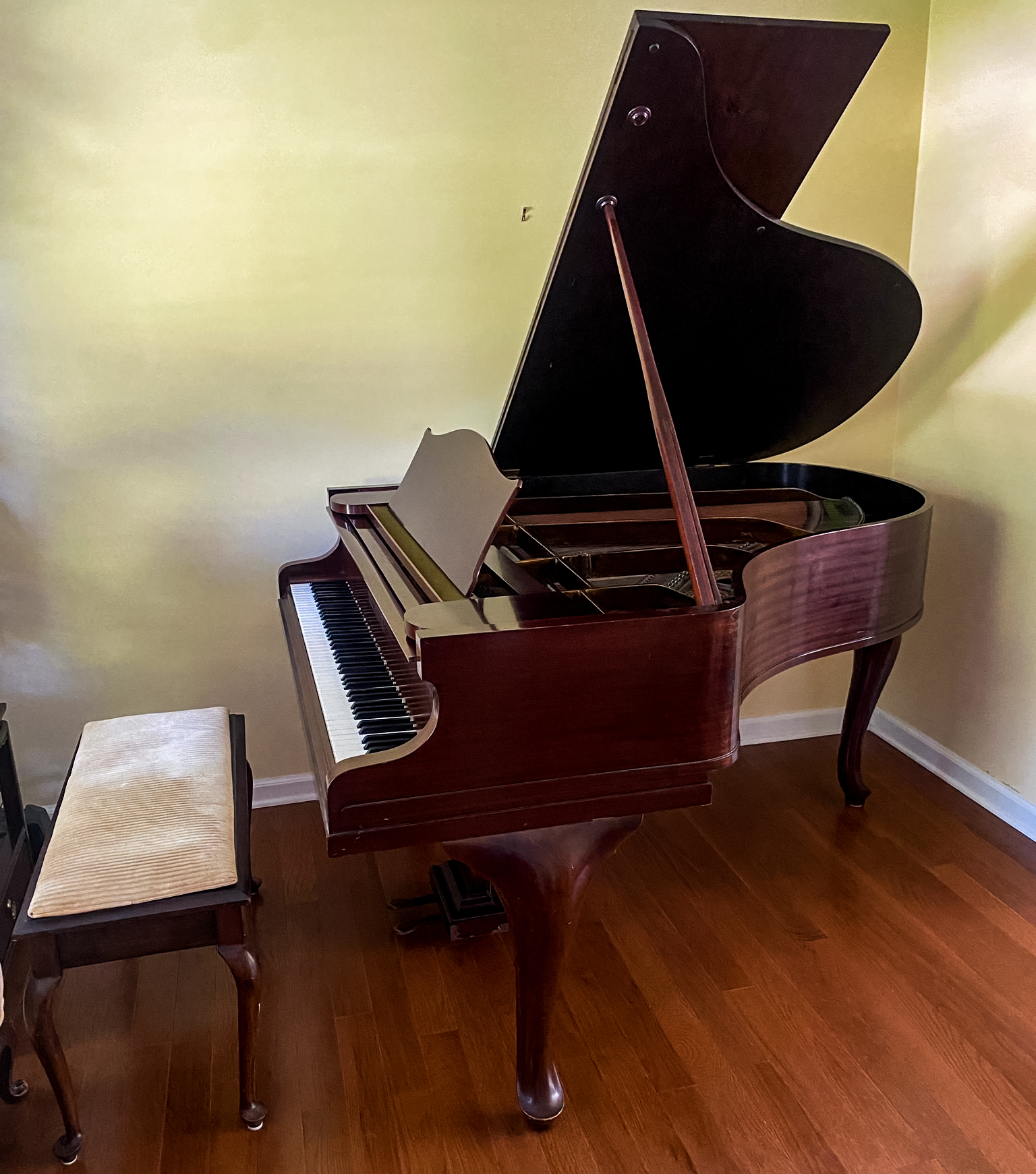 Classic & elegant Bechstein 5'9'' grand piano model L