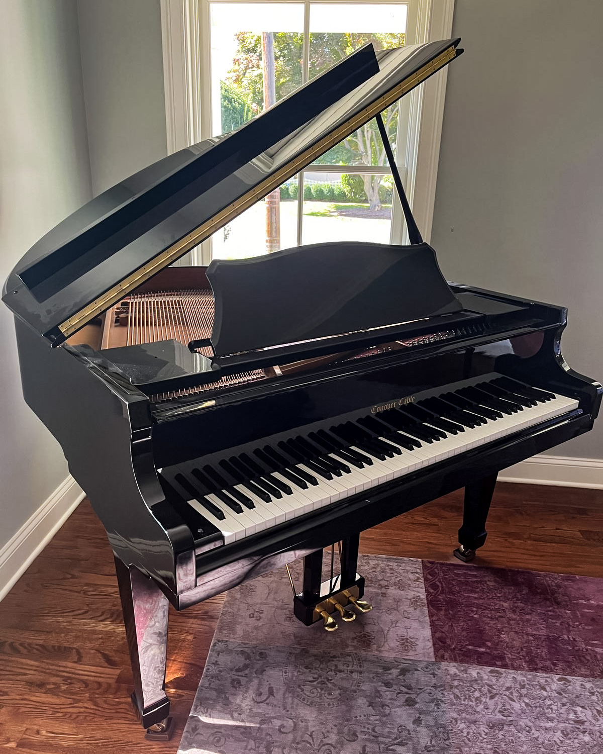 Petite Baby Grand Piano – Conover Cable (4'7"), Black Glossy