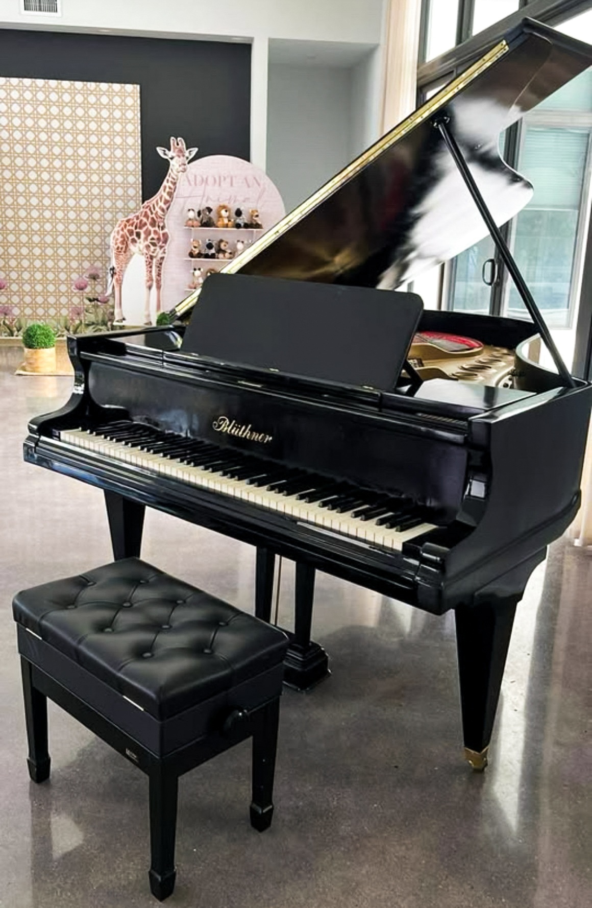 Blüthner Grand Piano - 6'1" Ebony Black