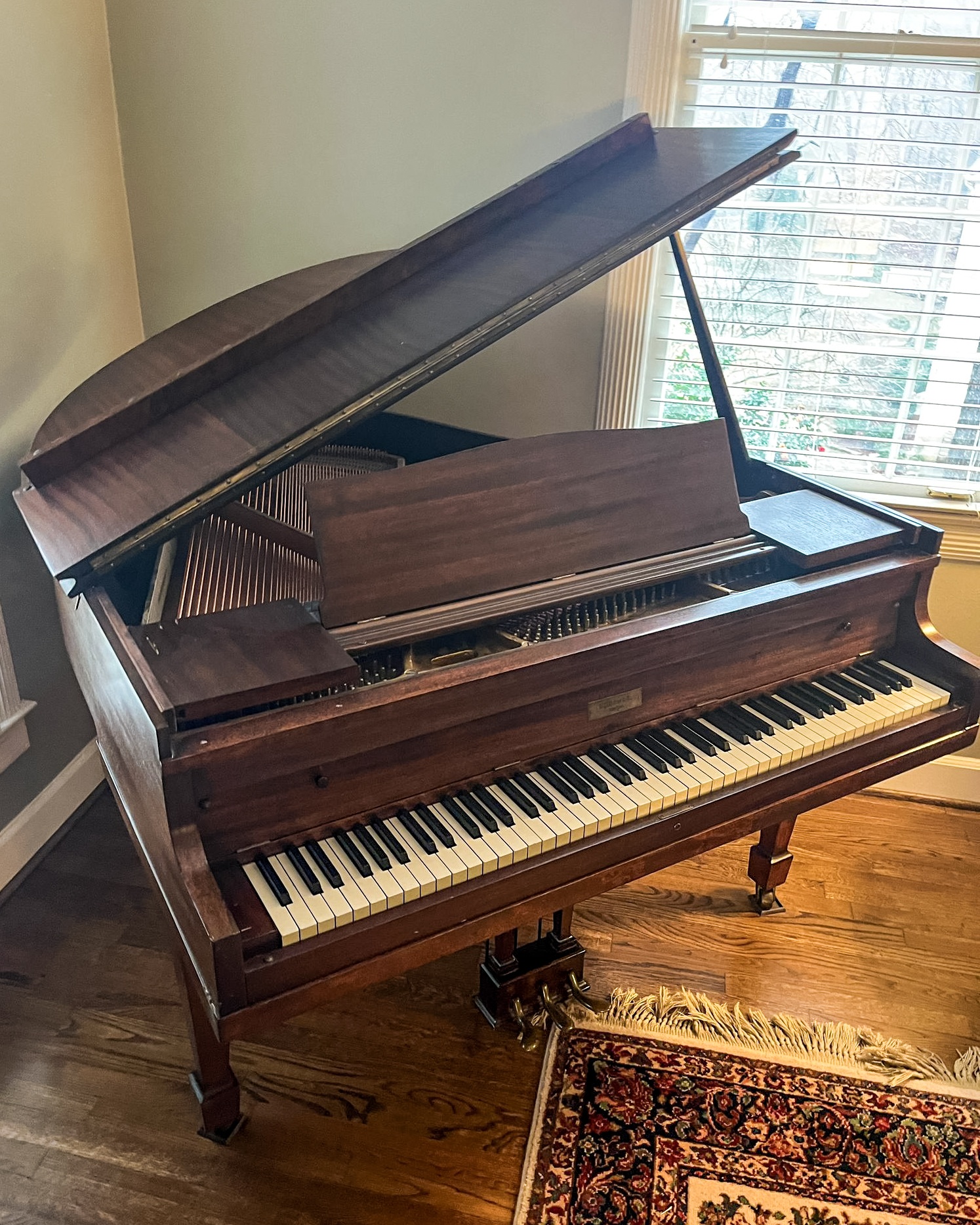 W. P. Haines & Co. 4'11" Baby Grand Piano - Mahogany