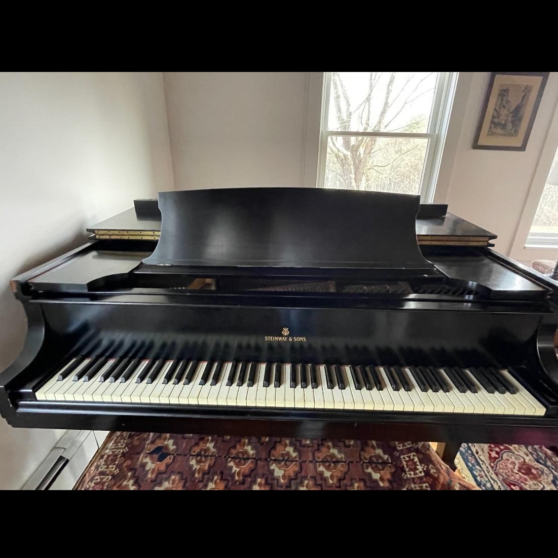Steinway & Sons Model S Grand Piano 5'1" Ebony