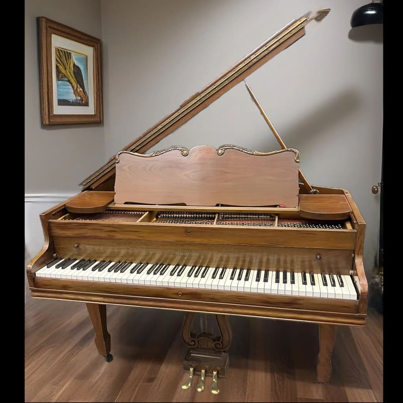 Chickering & Sons Baby Grand Piano – 5' Walnut Finish