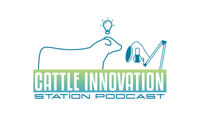 Cattle Innovation Station - Beef Cattle Business Profitability