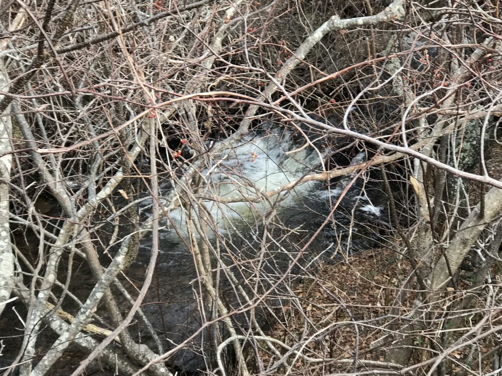 Winter Walks With The Trustees On Martha S Vineyard Learn Explore