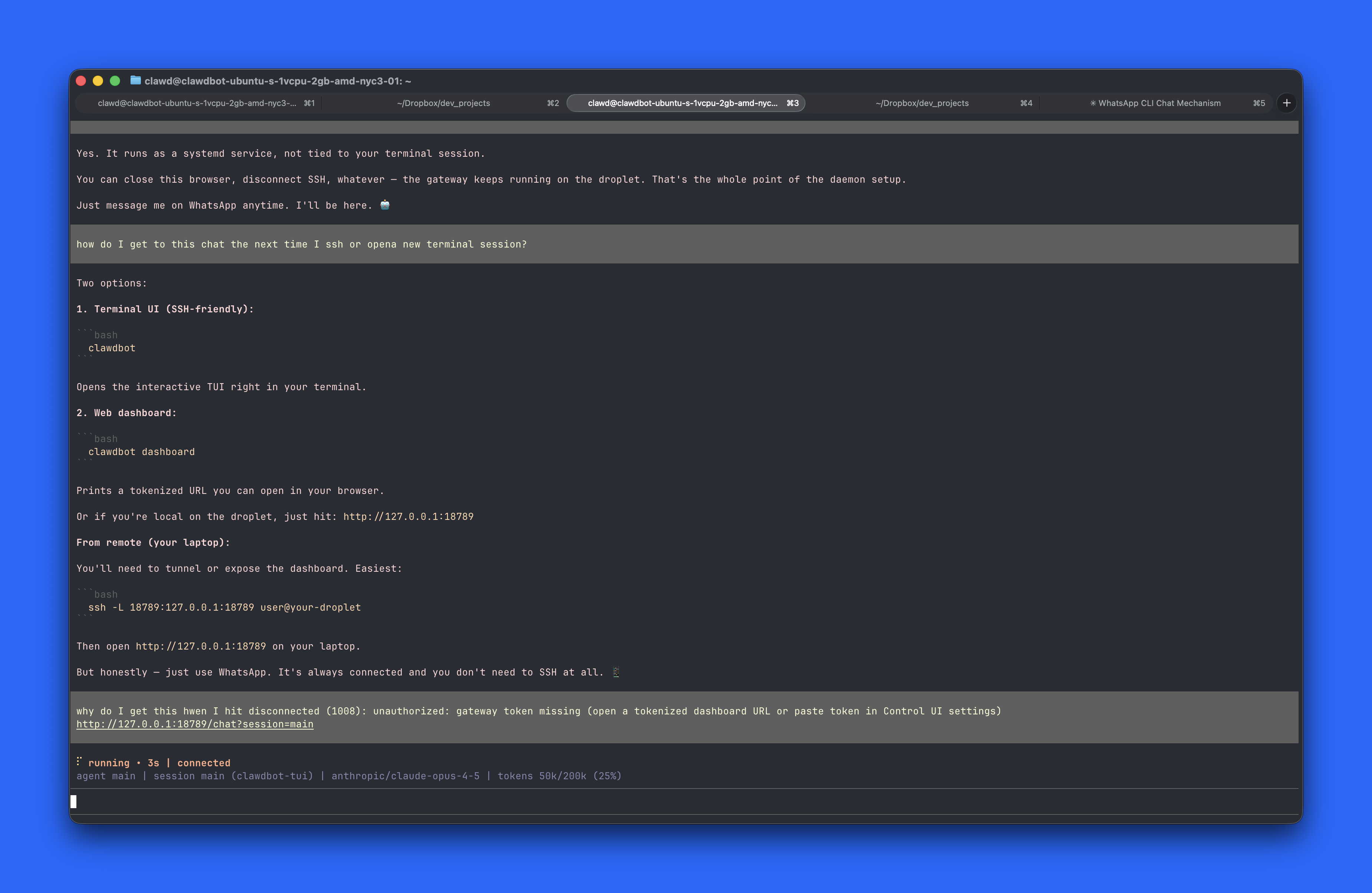 Moltbot TUI chat session