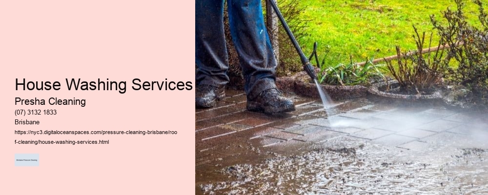 House Washing Services