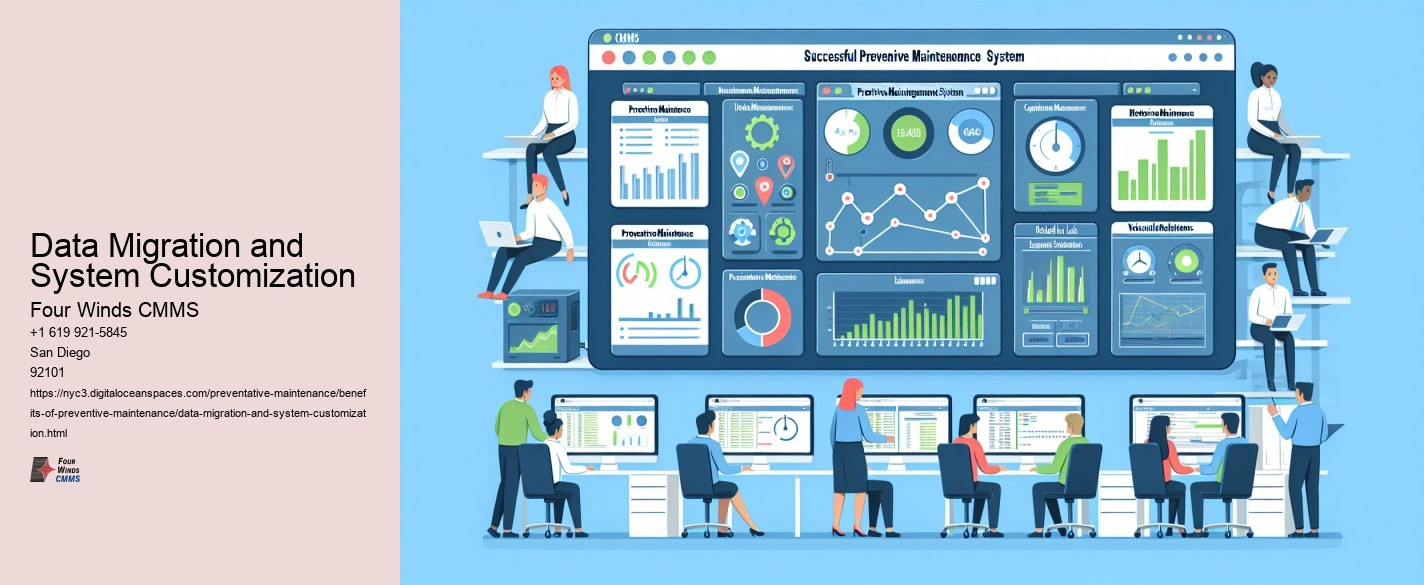 Data Migration and System Customization