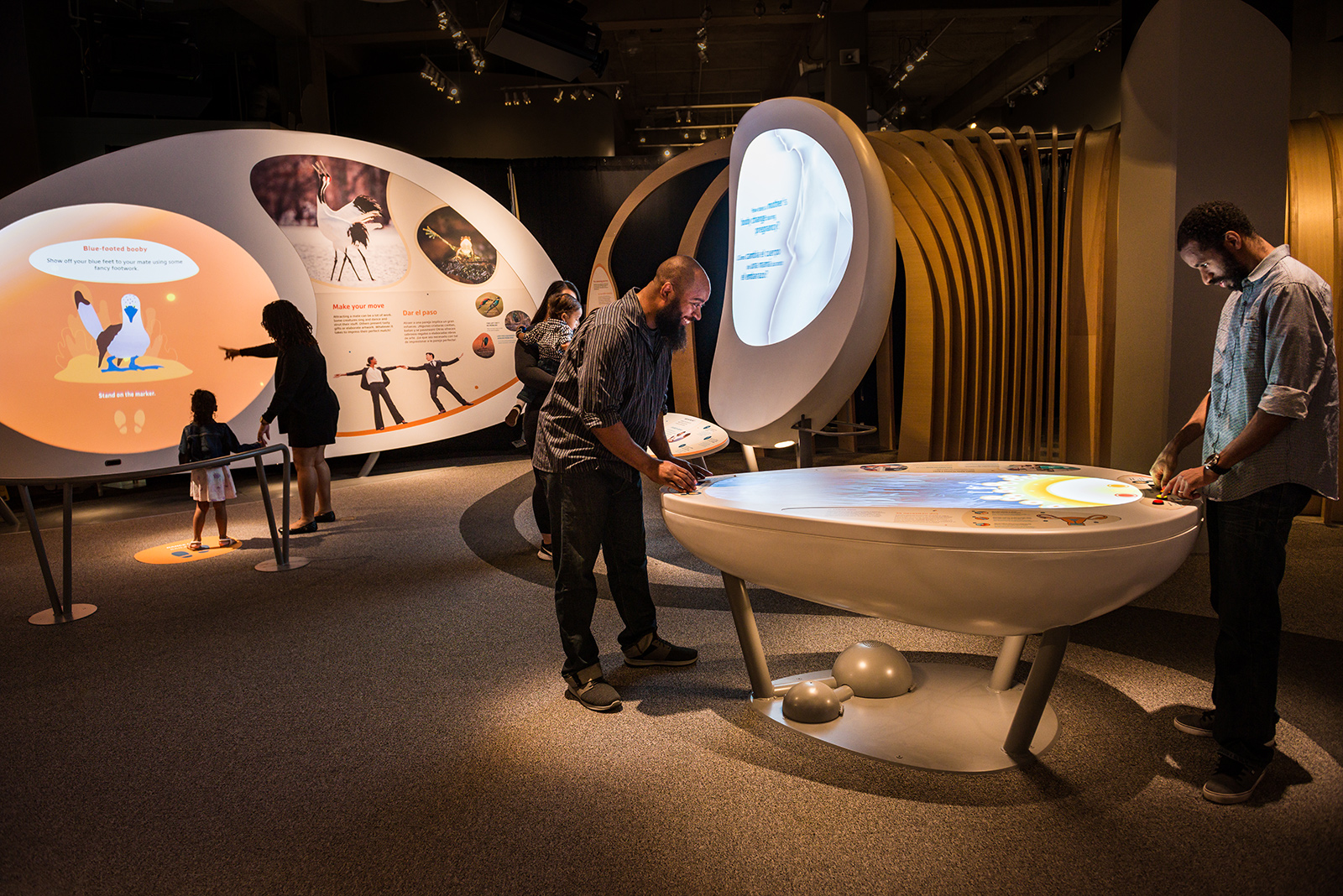 Creating Immersive Learning Experiences with Interactive Exhibits
