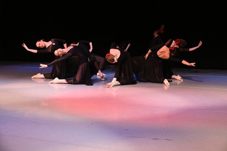 Adult dancers performing