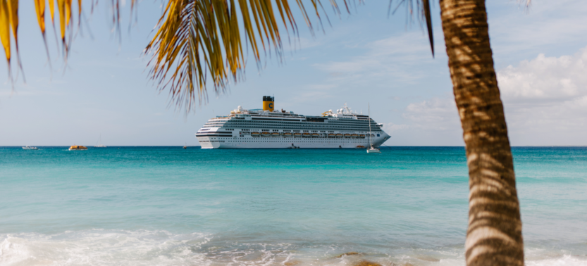 Travel Tips for Planning the Perfect Vacation Cruise