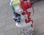 AnnArborHydrant.JPG