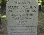 Sneden_tombstone.JPG