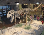 Museum_AL_dinosaur.jpg