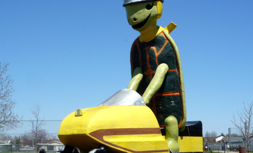 2009-0521-ND-Bottineau-TommyTurtle.jpg