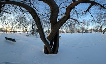 Centennial_Park__Oak_Lawn__Illinois.jpg