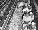 Redlands__California._Packing_oranges_at_a_cooperative_packing_plant..jpg