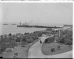 View_of_Redondo_Beach_Pier_and_railroad_station_from_the_Redondo_Hotel__whose_garden_is_also_seen__ca.1900__CHS-1371_.jpg