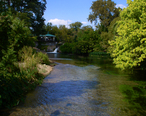 08-10-26_-_San_Marcos_River__San_Marcos__TX__USA_-_downstream_from_the_headwaters.jpg