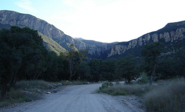 Carr_Canyon_Huachuca_Mountains.jpg