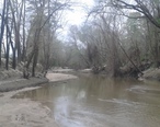 West_Fork_San_Jacinto_River.jpg