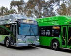 Culver_CityBus_Rapid_and_Local_Buses.jpg