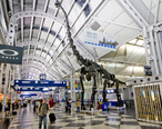 Chicago_O_Hare_International_Airport.jpg