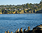 La_Jolla_Shores_view__cropped_.jpg