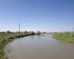 2014-05-31_15_23_35_View_down_the_Humboldt_River_from_Nevada_State_Route_806_in_Battle_Mountain__Nevada.JPG