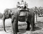 Children_on_elephant_at_Jungleland__California__1962.jpg