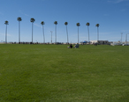 Newport_Beach_california_6_march_9_2014_photo_d_ramey_logan.jpg