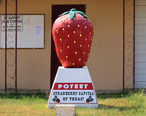 Poteet_Texas_Strawberry_Landmark.jpg
