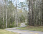 Auburn-biking-trail.jpg