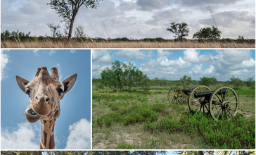 Brownsville_Collage.jpg