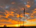 West_El_Paso_Sunset.jpg