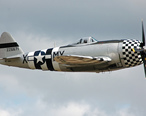 P-47D-40_Thunderbolt_44-95471_side.jpg
