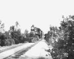 Train_in_citrus_groves_in_Riverside__California__CHS-1636_.jpg