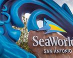 SeaWorld_San_Antonio_2019_v2.jpg