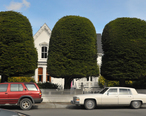 Ferndale_CA_Berding_House_Gum_Drop_Trees.jpg