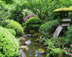 Portland_Japanese_garden_creek.jpg