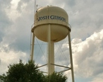Josh_Gibson_Water_Tower__Buena_Vista__GA.JPG