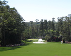 Augusta_National_Golf_Club__Hole_10__Camellia_.jpg