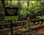 Pheasant_Branch_Trail__Proposed_trail_signage_in_Middleton__Wisconsin_.jpg