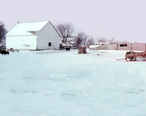 Farm_barnyard_Dec._1957.jpg