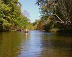 Pere_Marquette_River_in_Autumn_Manistee_National_Forest.JPG