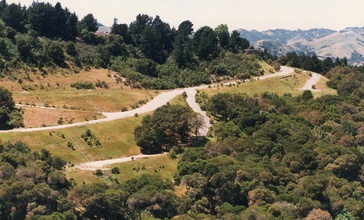Orinda-california-alice-lane.jpg