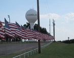 American_flags_at_park_in_Chandler.jpg